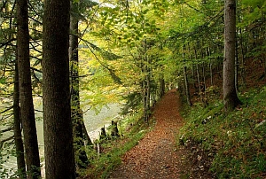 BiogradskaGora