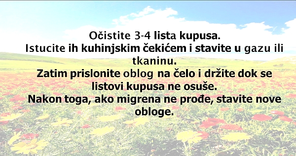 migrena kupus