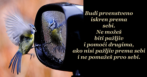 budi