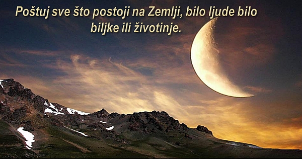 postuj-sve