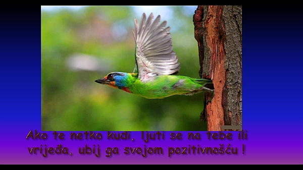 ako-te-netko-ljuti.jpg