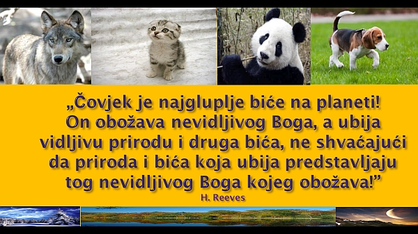 covjek-najgluplje-stvorenje.jpg
