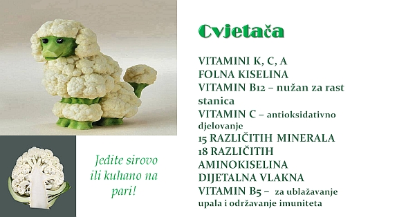 cvjetaca.jpg
