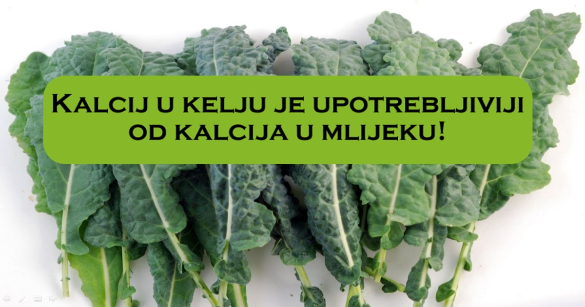kelj-kalcij.jpg