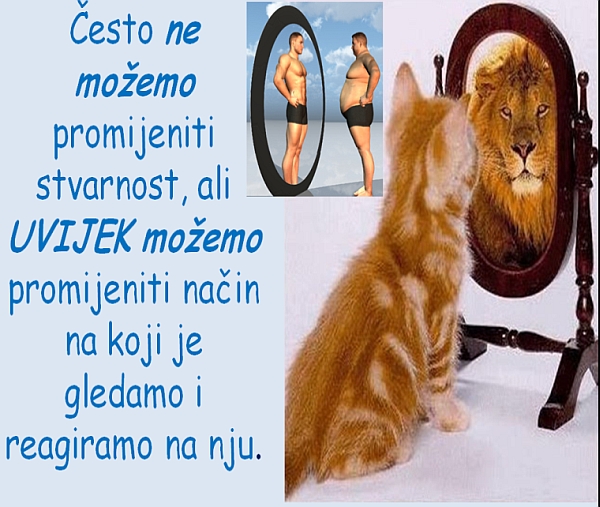 lav-ogledalo.jpg