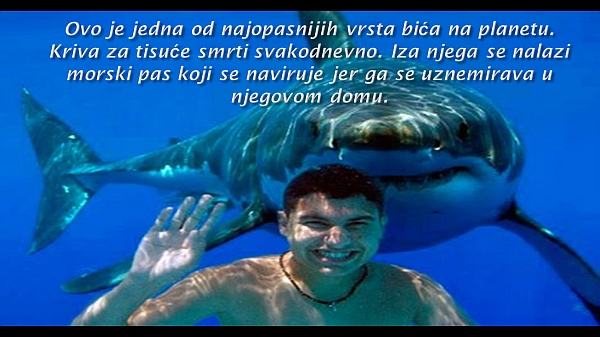 morski-pas-mudra.jpg