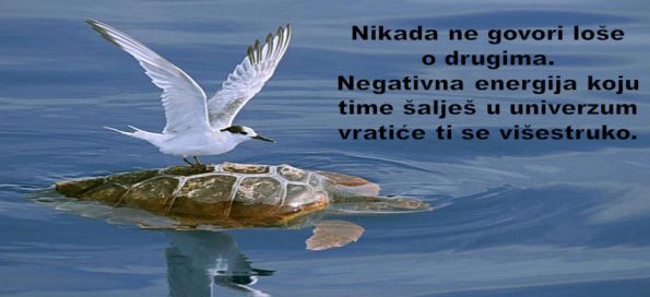 nikad-ne-govori.jpg