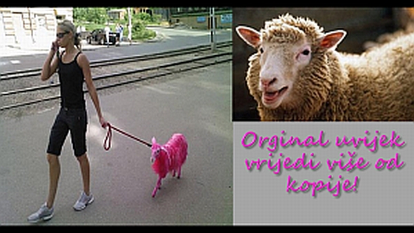 orginal-vrijedi-vise.jpg