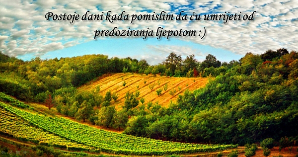 predoziranje-ljepotom.jpg