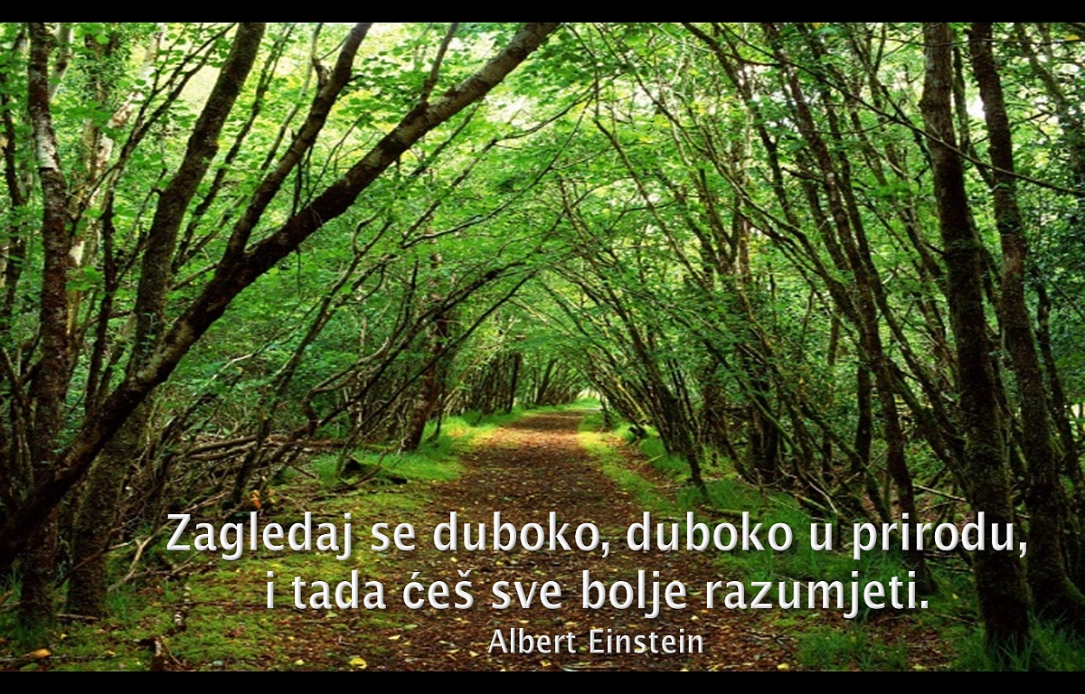 priroda-razumijevabje.jpg