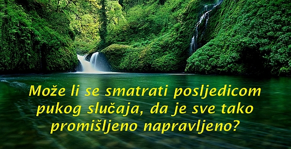 slucajnost-ili.jpg