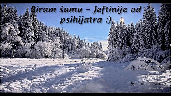 suma-gorski-kotar.jpg