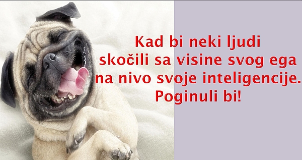 visina-inteligencije.jpg