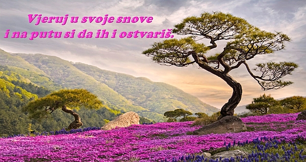 vjeruj-u-snove.jpg