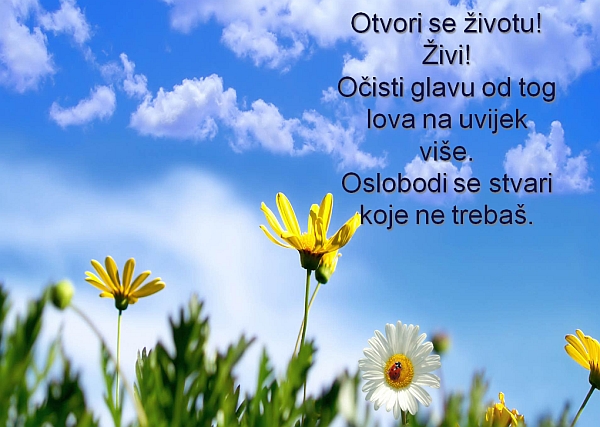 zivi.jpg