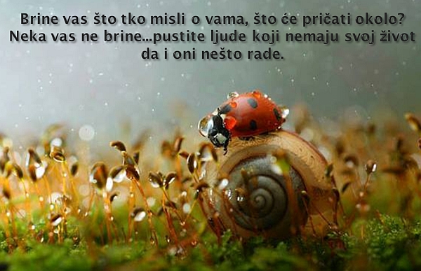 buba-mara